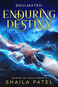 Cover Art for Enduring Destiny by Shaila Patel